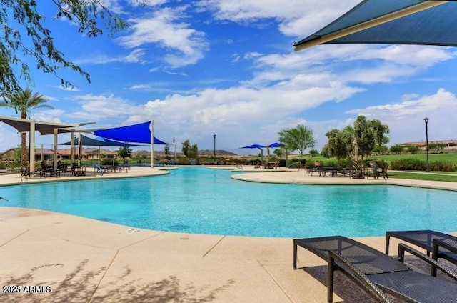 view of swimming pool with a patio area