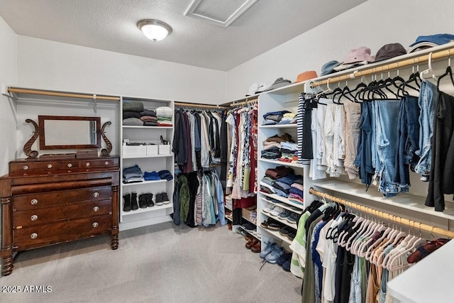 walk in closet with carpet floors and attic access