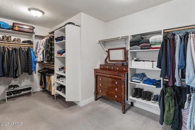 walk in closet with carpet flooring