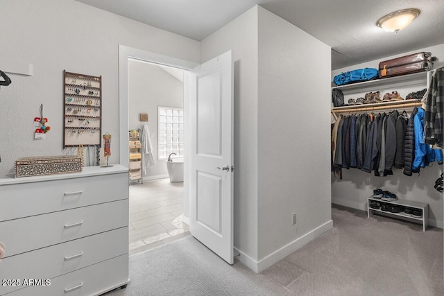 spacious closet featuring light carpet