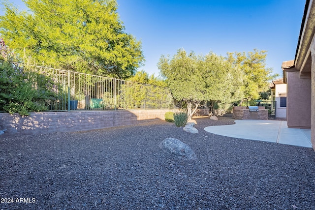 view of yard featuring a patio