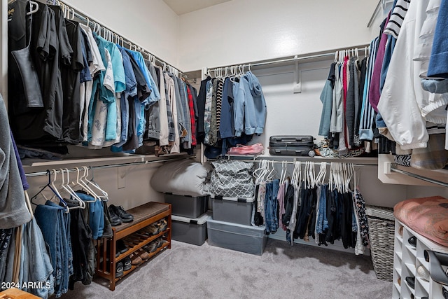 spacious closet with carpet flooring