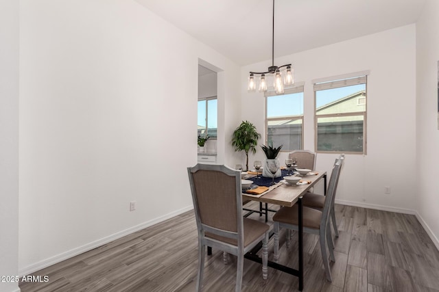 dining area featuring hardwood / wood-style floors