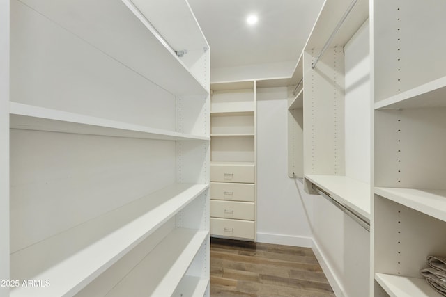 walk in closet with dark wood-type flooring