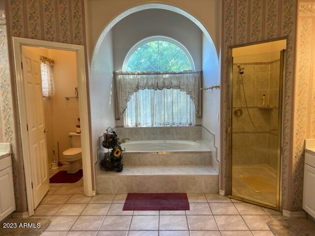 full bathroom with a healthy amount of sunlight, a stall shower, a bath, and vanity