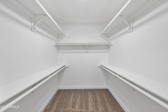 spacious closet with dark colored carpet