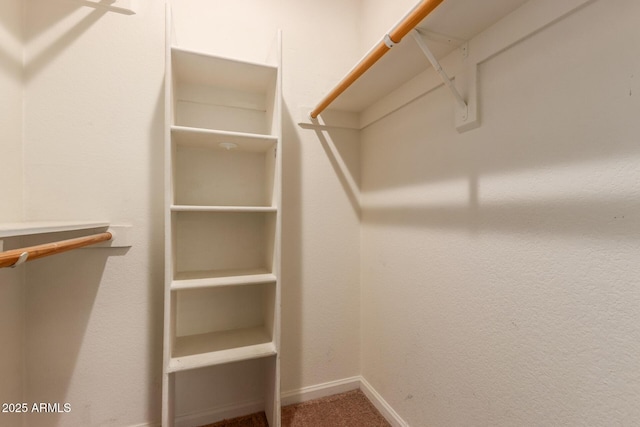 spacious closet with carpet flooring