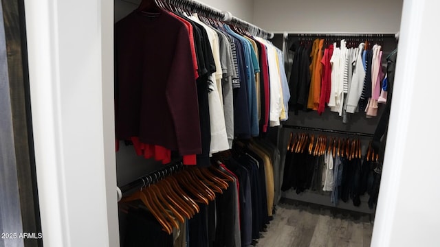 spacious closet featuring wood-type flooring