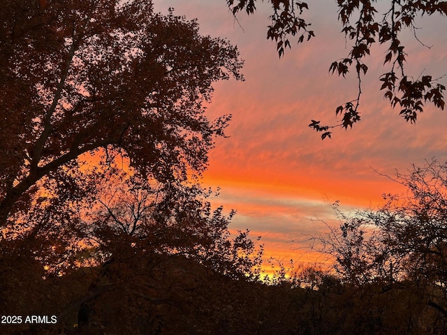 view of nature at dusk