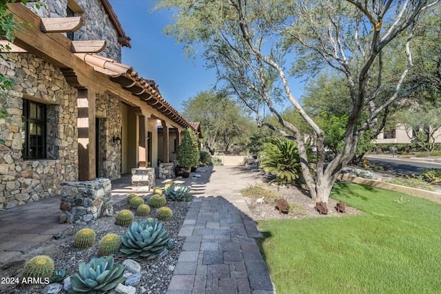 view of yard featuring a patio