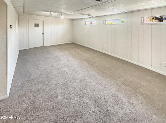 below grade area featuring visible vents, a textured ceiling, and carpet floors