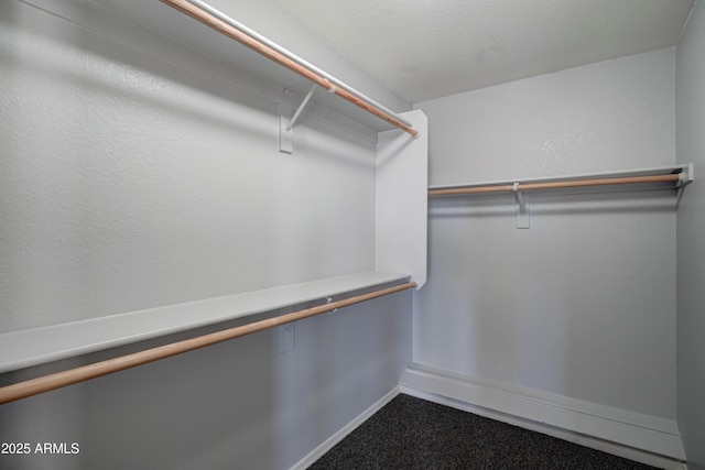 spacious closet featuring carpet flooring
