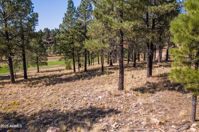 2900 S Solitaires Canyon Dr Unit 345, Flagstaff AZ, 86005 land for sale