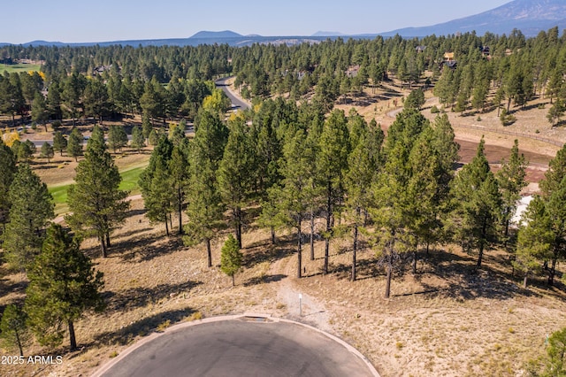 Listing photo 3 for 2900 S Solitaires Canyon Dr Unit 345, Flagstaff AZ 86005