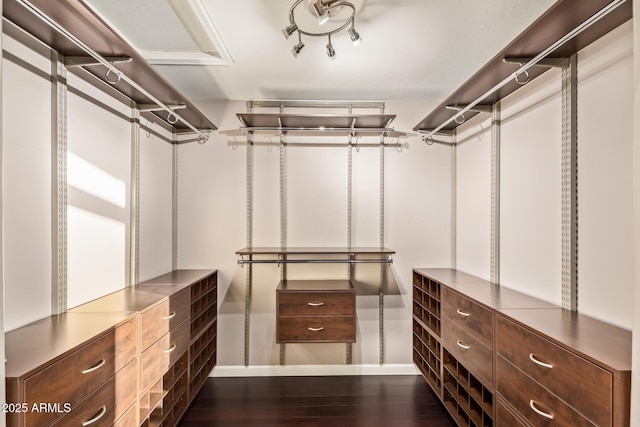 spacious closet featuring dark wood-type flooring