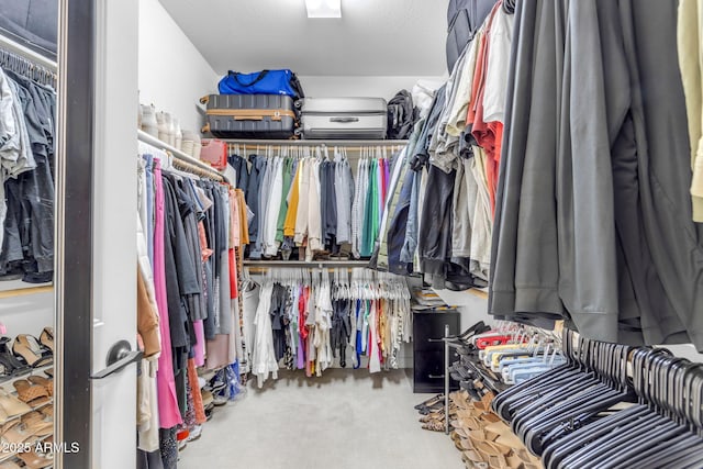 spacious closet featuring carpet flooring