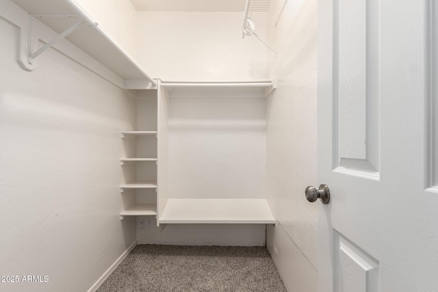 spacious closet featuring carpet flooring