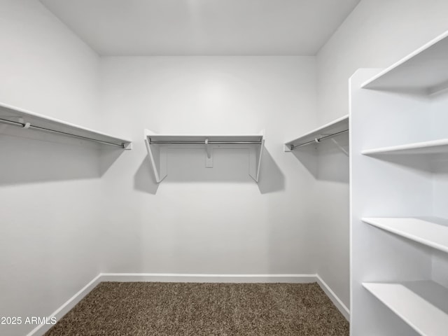 spacious closet with carpet floors