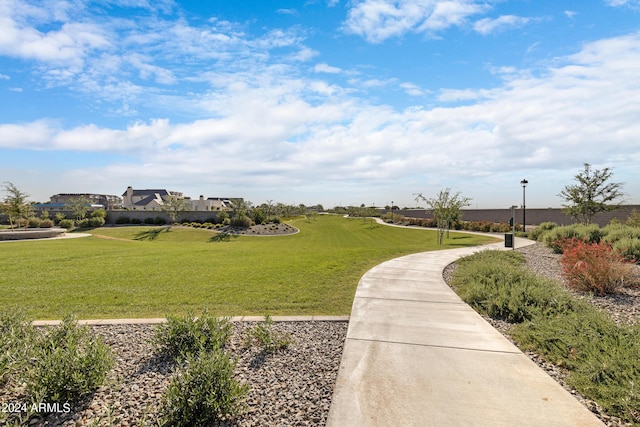 view of home's community with a yard