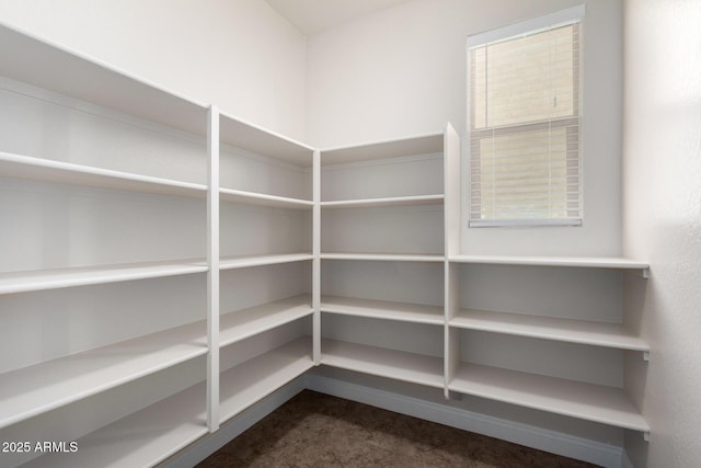 3449 E Sheffield Rd, Gilbert, AZ 85296 - view of pantry