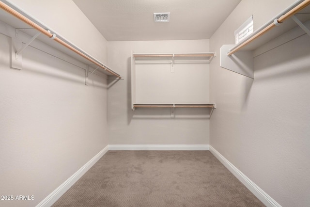 3449 E Sheffield Rd, Gilbert, AZ 85296 - spacious closet with carpet floors