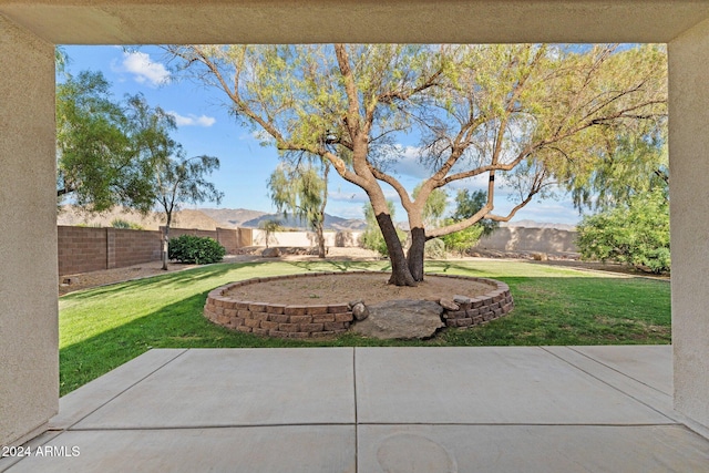 view of yard with a patio