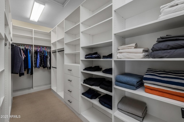 walk in closet with light colored carpet