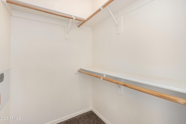 2402 E 5th St Unit 1411, Tempe, AZ 85288 - spacious closet featuring carpet