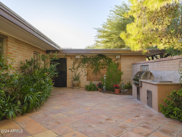 view of patio / terrace with an outdoor kitchen and area for grilling