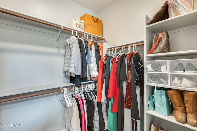 view of spacious closet