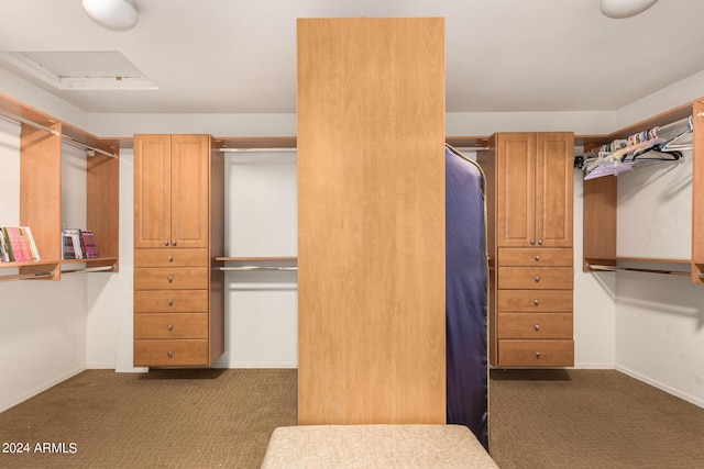 walk in closet featuring dark colored carpet and attic access