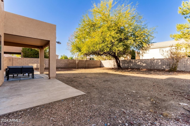 view of yard featuring a patio area