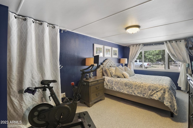 bedroom with carpet floors