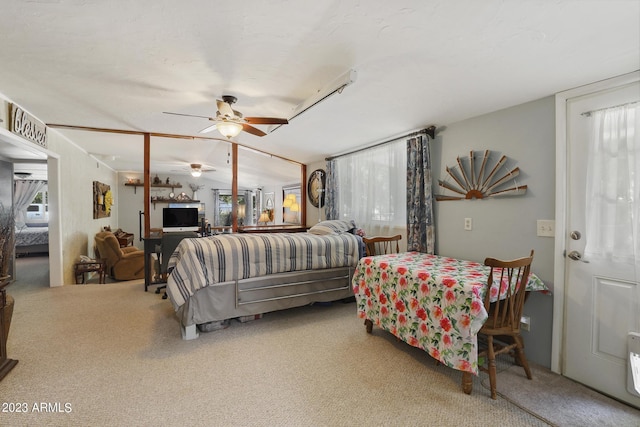 bedroom with multiple windows and carpet floors