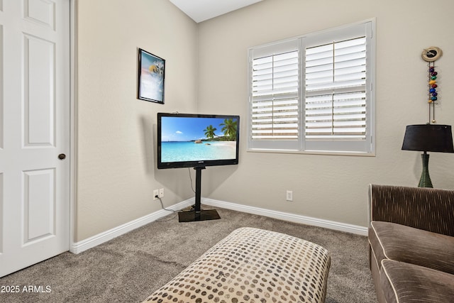 28019 N 115th Pl, Scottsdale, AZ 85262 - sitting room with carpet flooring and baseboards