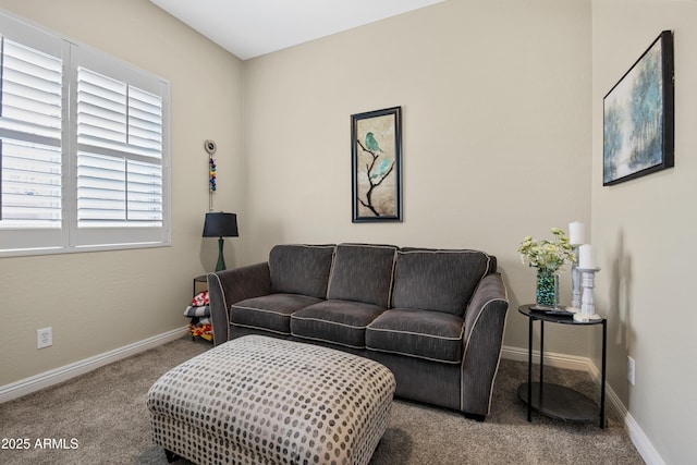 28019 N 115th Pl, Scottsdale, AZ 85262 - carpeted living room with baseboards