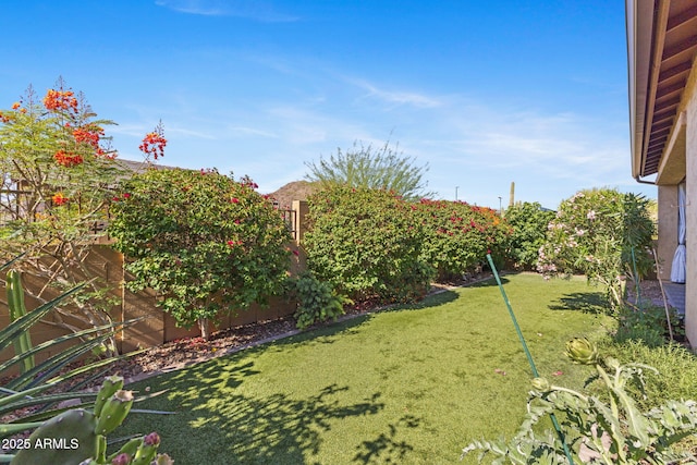 6948 E Quill St, Mesa, AZ 85207 - view of yard