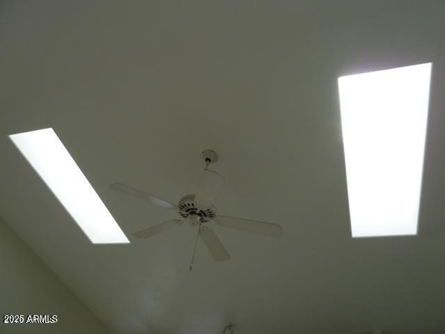 room details with a skylight and a ceiling fan