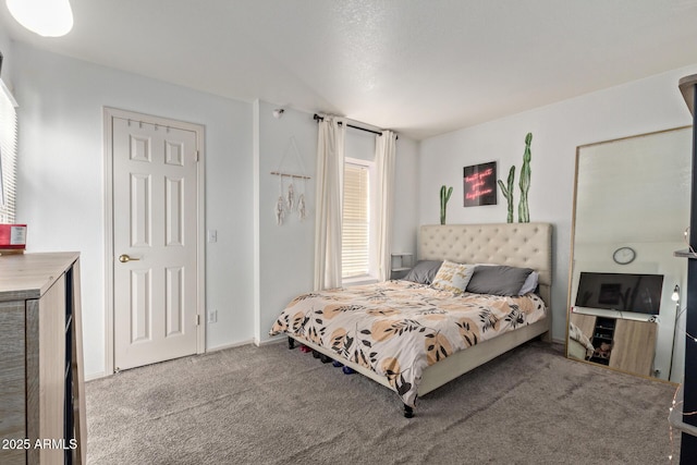 bedroom with carpet floors