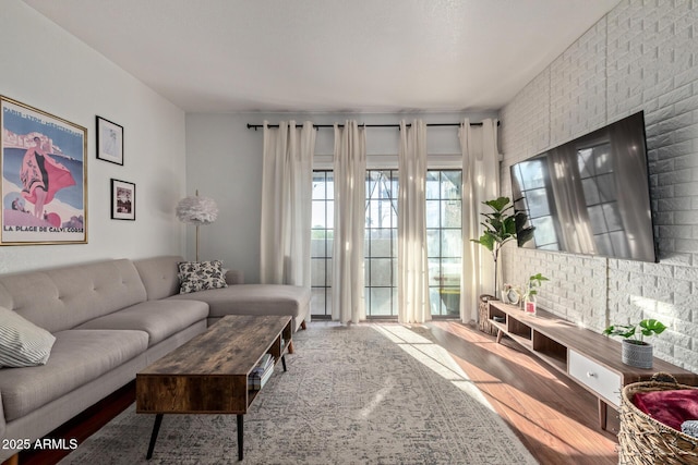 living room featuring wood-type flooring