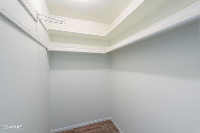 spacious closet featuring dark hardwood / wood-style flooring