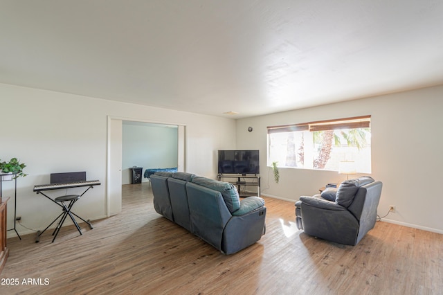 living room featuring wood-type flooring