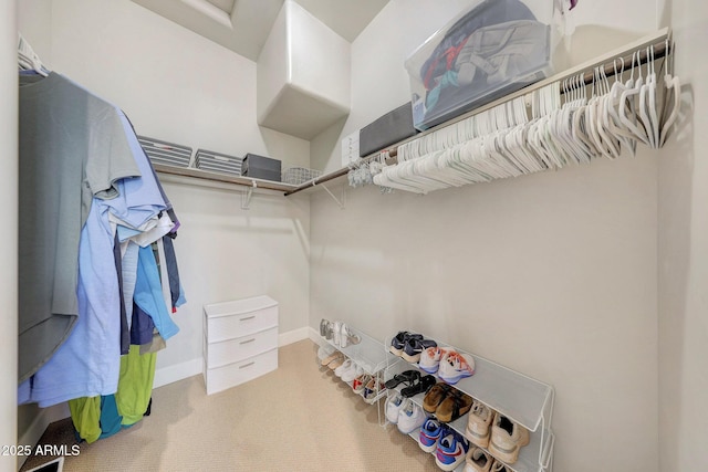 walk in closet with carpet floors