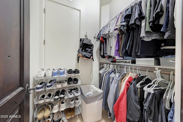 view of spacious closet