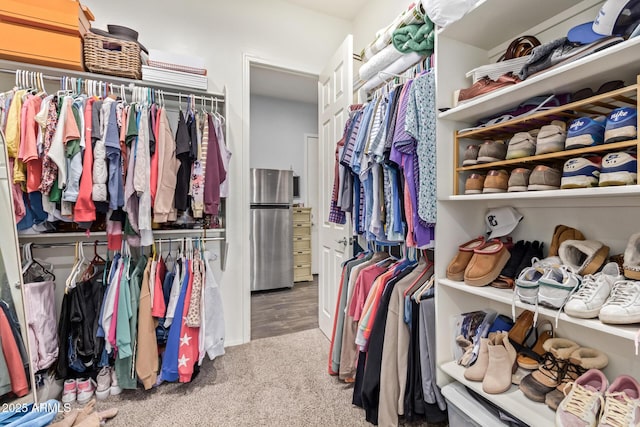 spacious closet with light carpet