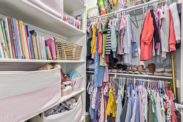 view of walk in closet