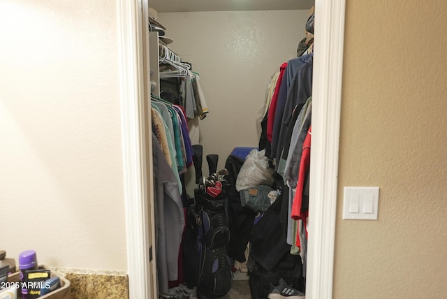 view of walk in closet