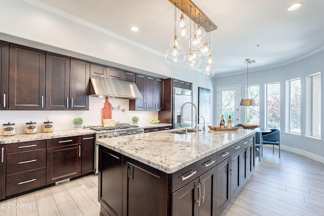 kitchen with crown molding, decorative backsplash, a sink, high quality appliances, and under cabinet range hood