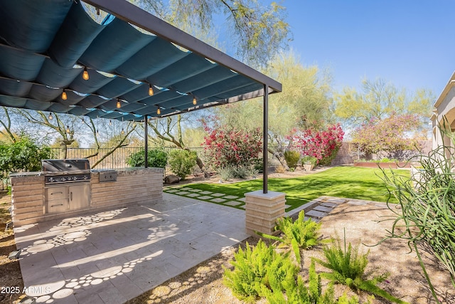 view of patio / terrace with a fenced backyard, an outdoor kitchen, and area for grilling