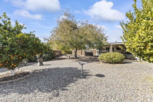 view of yard featuring ceiling fan